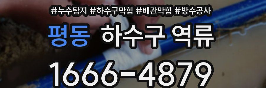 평동 하수구 역류