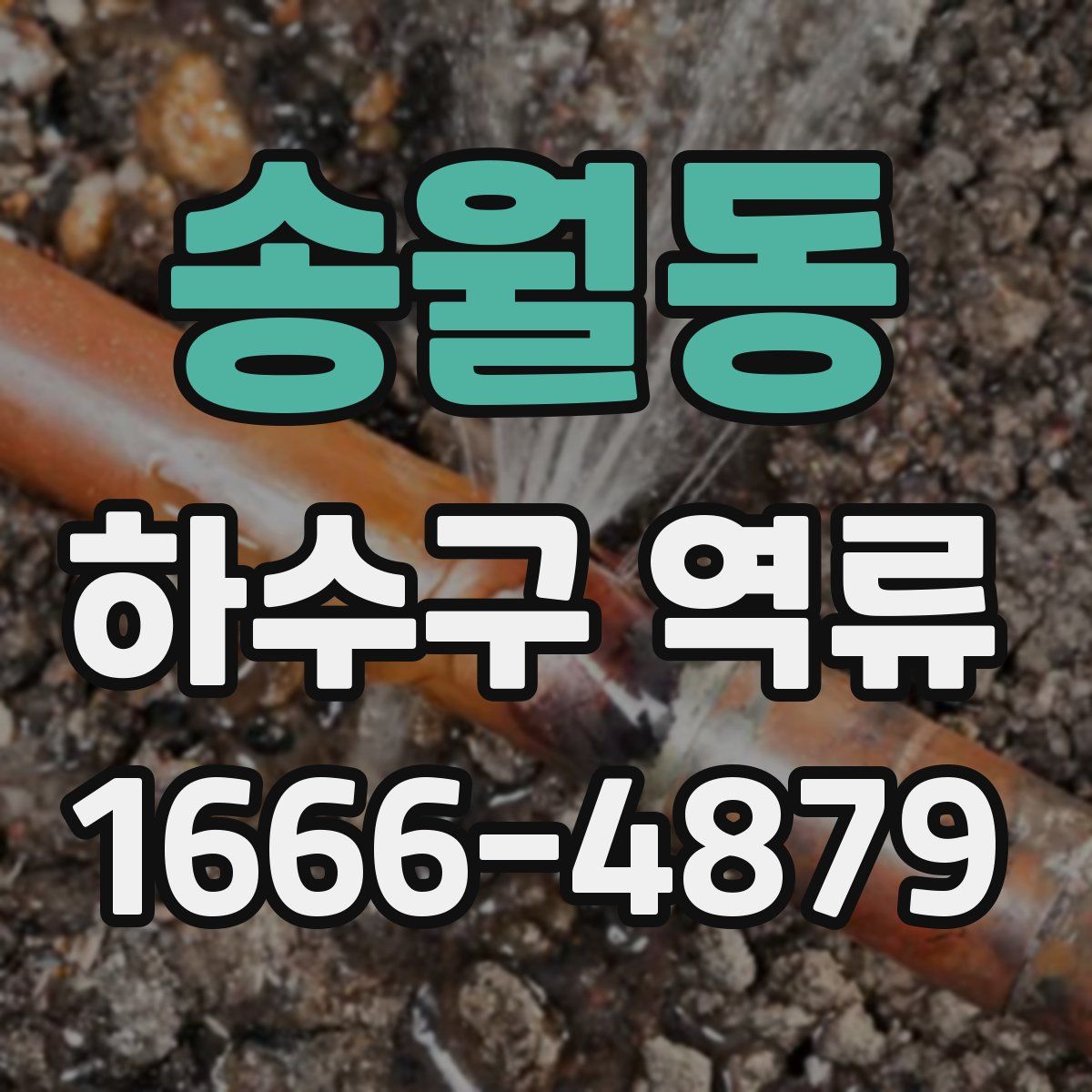 송월동 하수구 역류