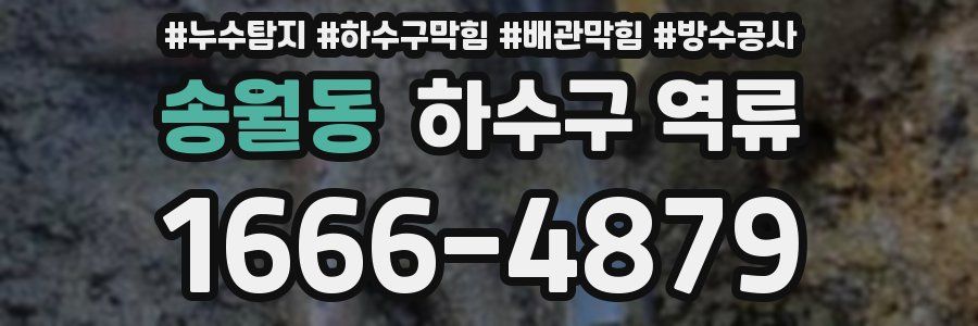 송월동 하수구 역류