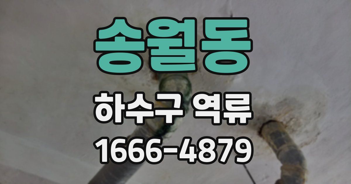 송월동 하수구 역류
