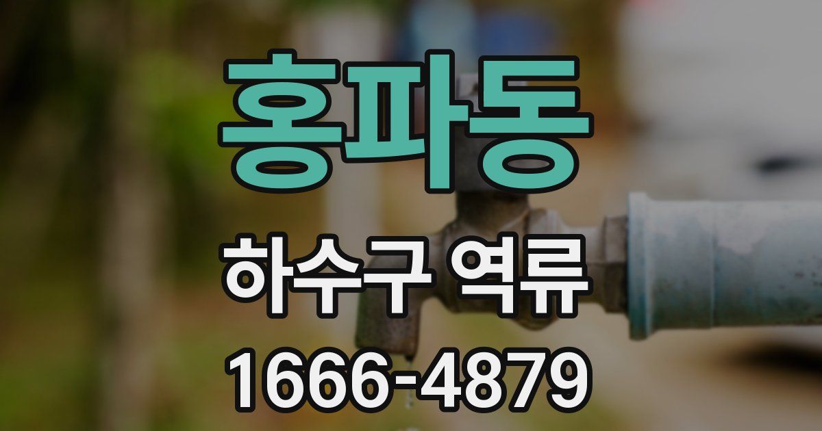 홍파동 하수구 역류