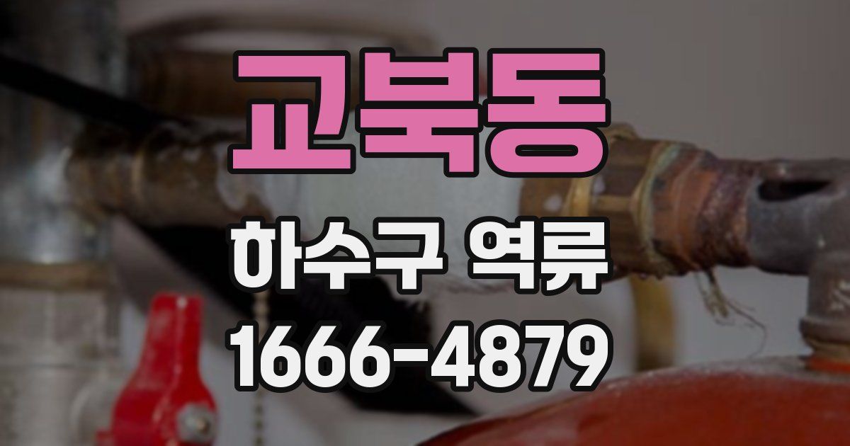 교북동 하수구 역류