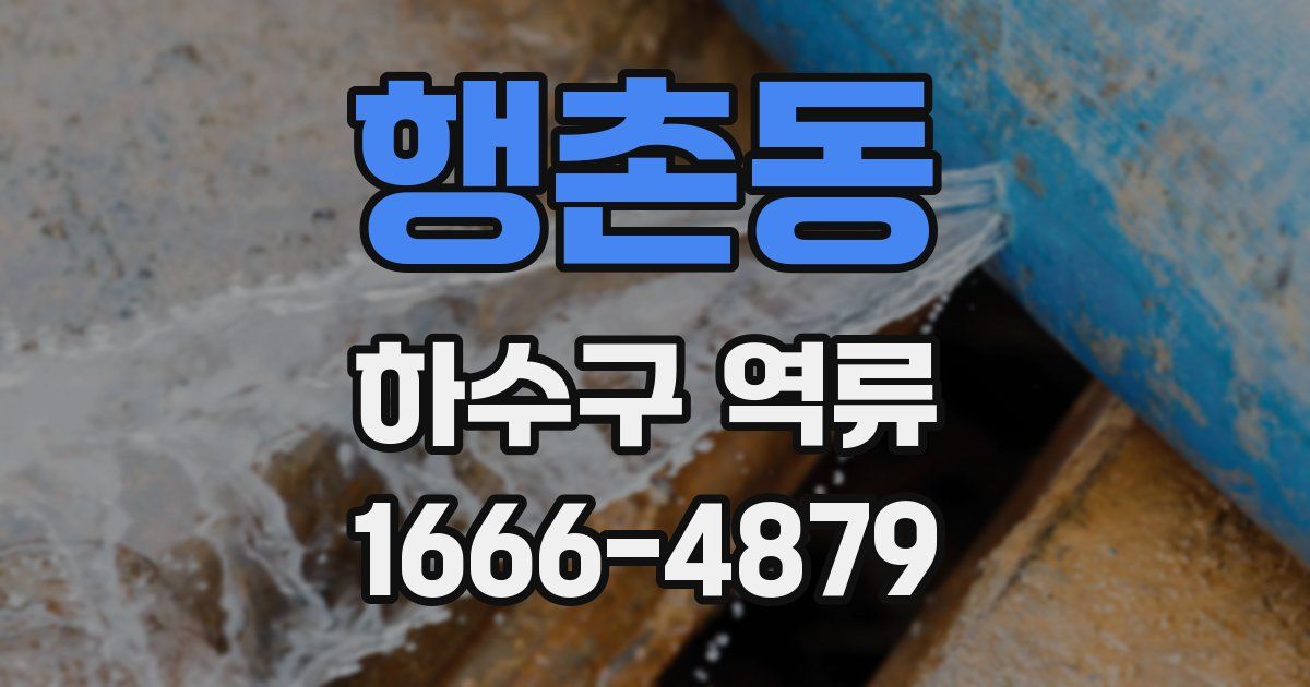 행촌동 하수구 역류