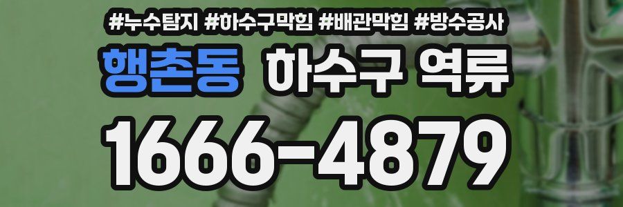 행촌동 하수구 역류