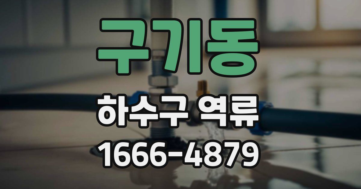 구기동 하수구 역류