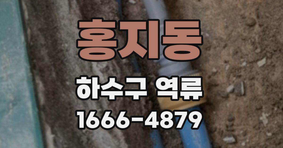 홍지동 하수구 역류