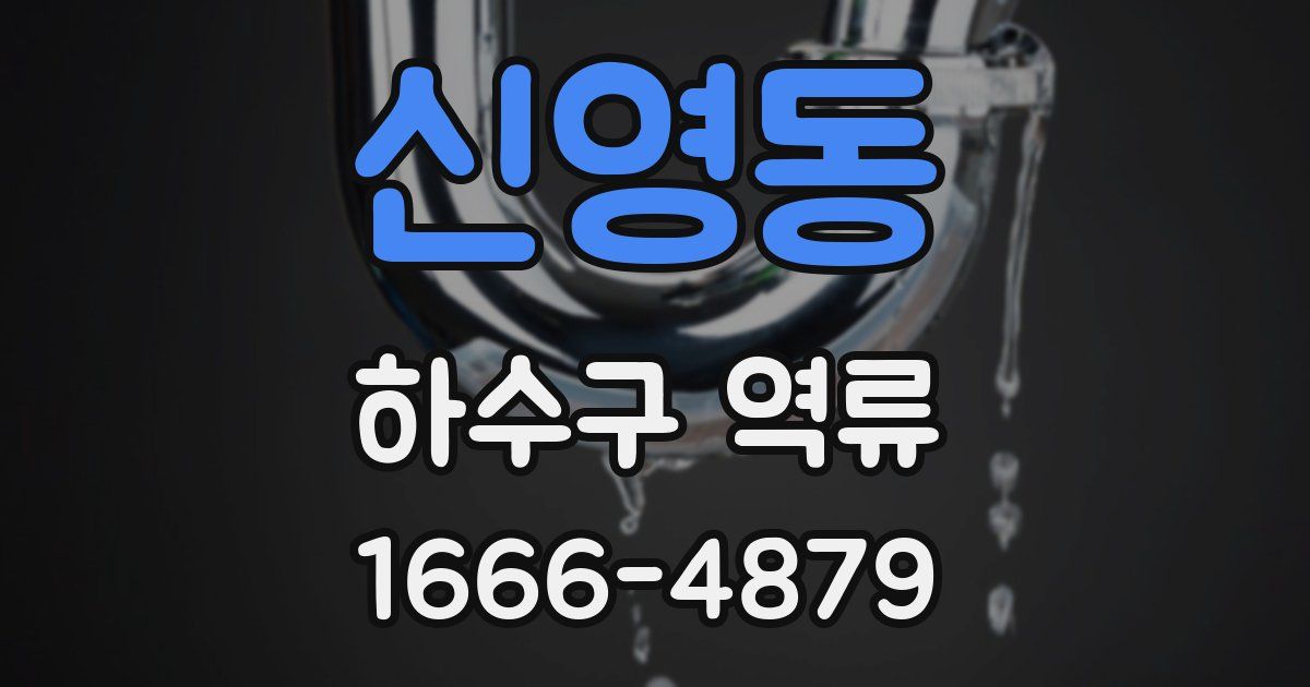 신영동 하수구 역류