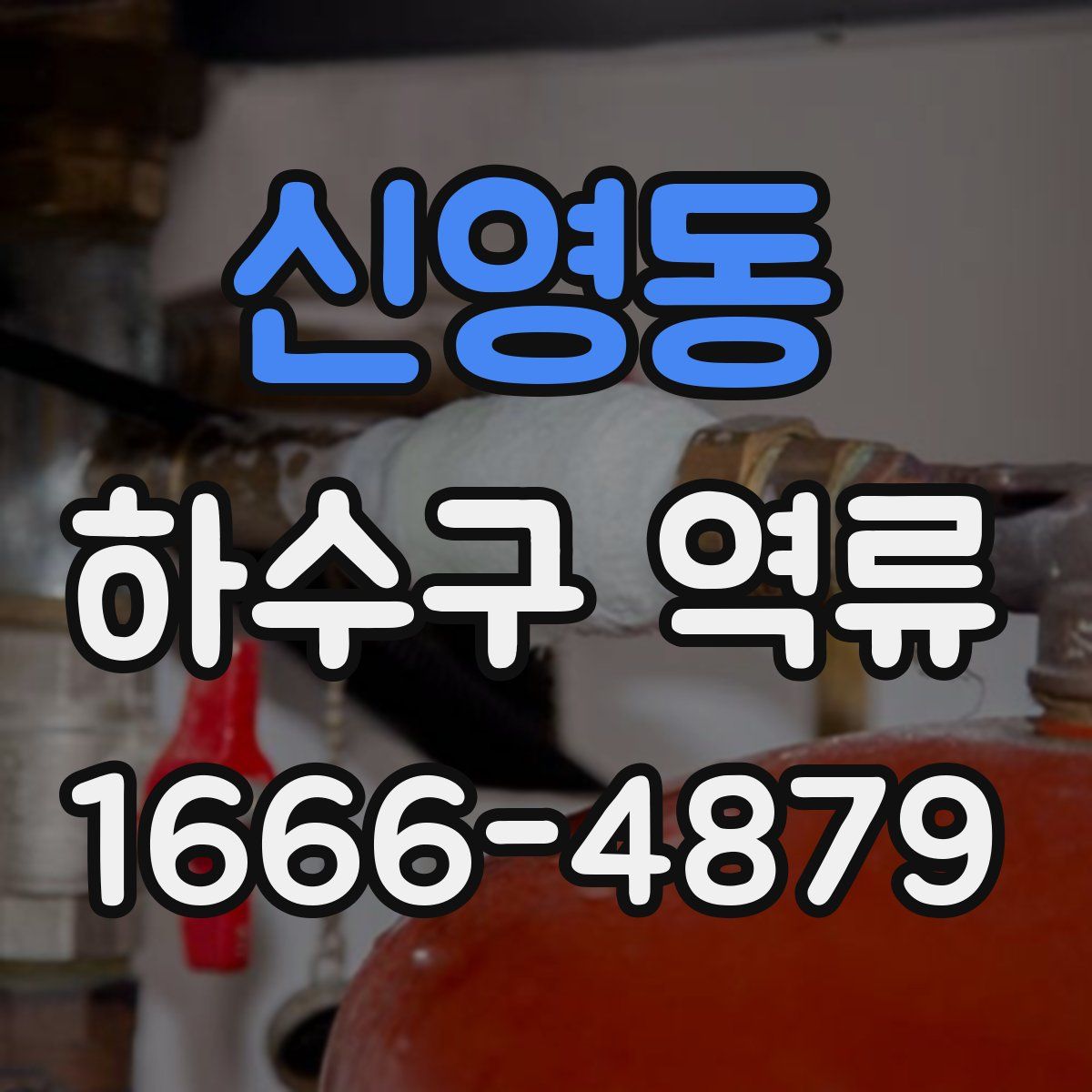 신영동 하수구 역류