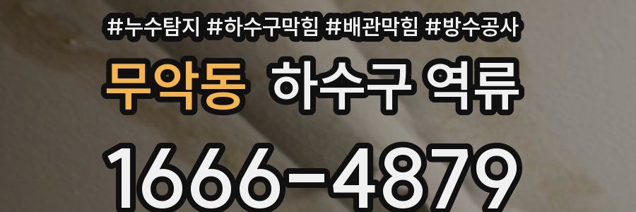 무악동 하수구 역류