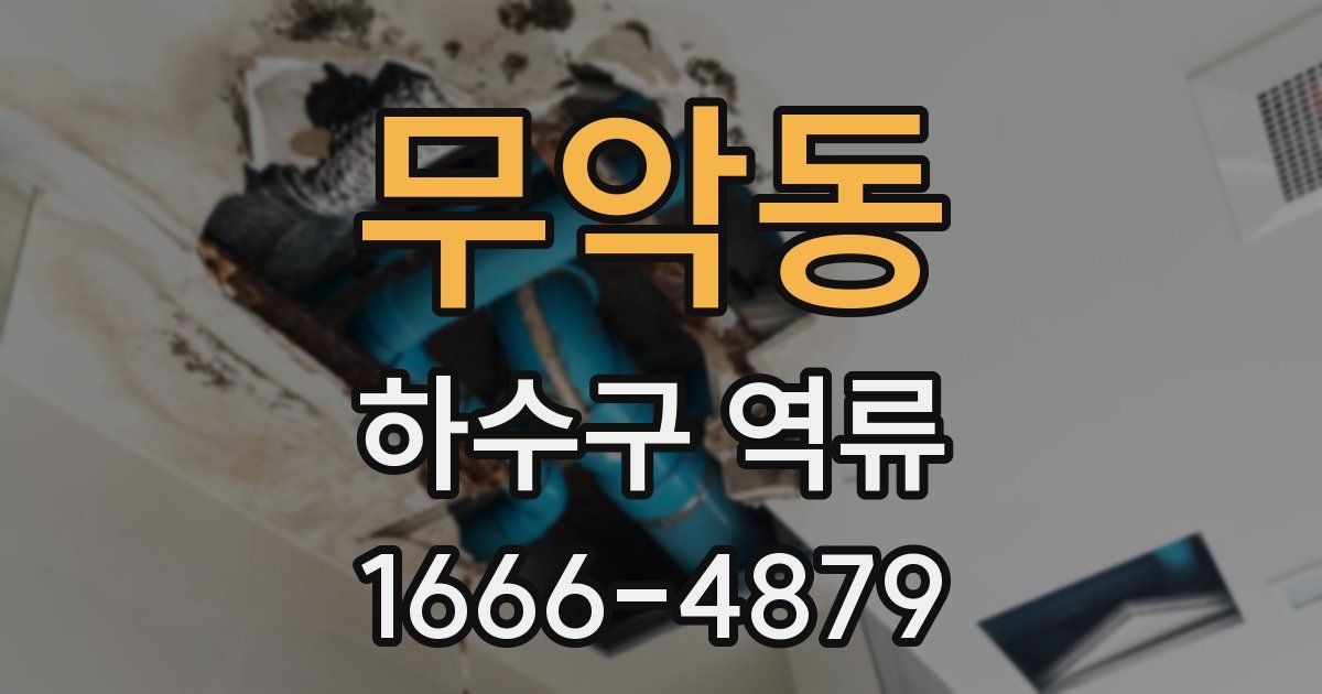 무악동 하수구 역류