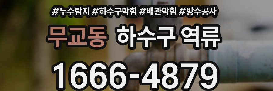 무교동 하수구 역류