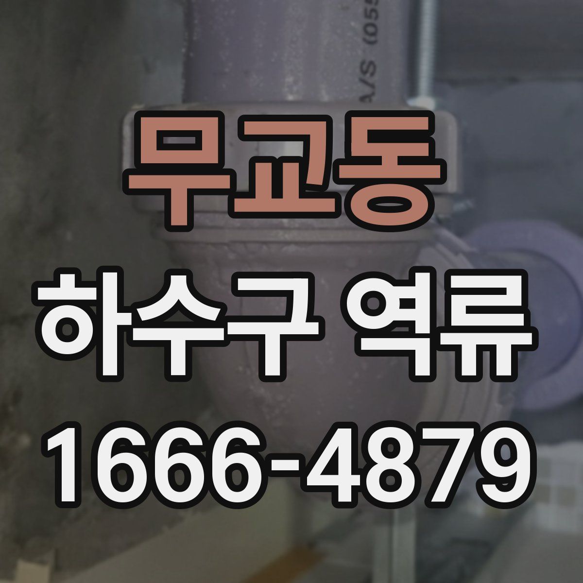 무교동 하수구 역류