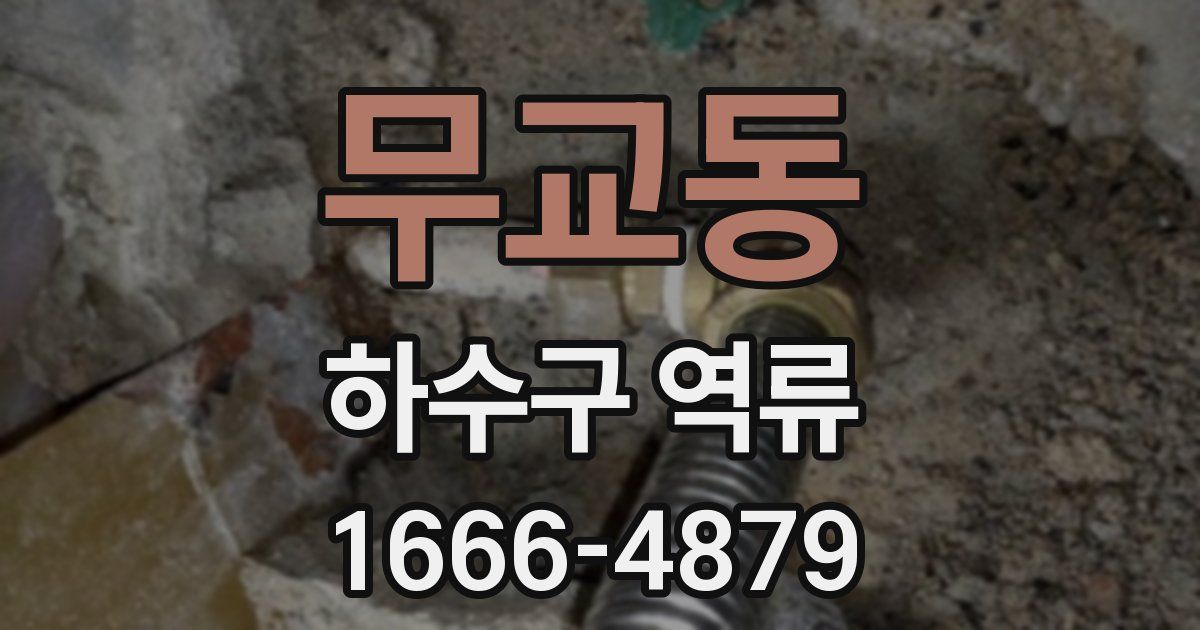 무교동 하수구 역류