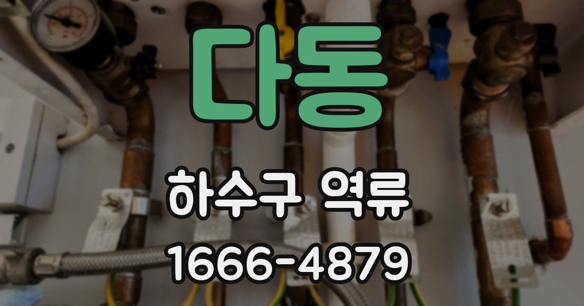 다동 하수구 역류