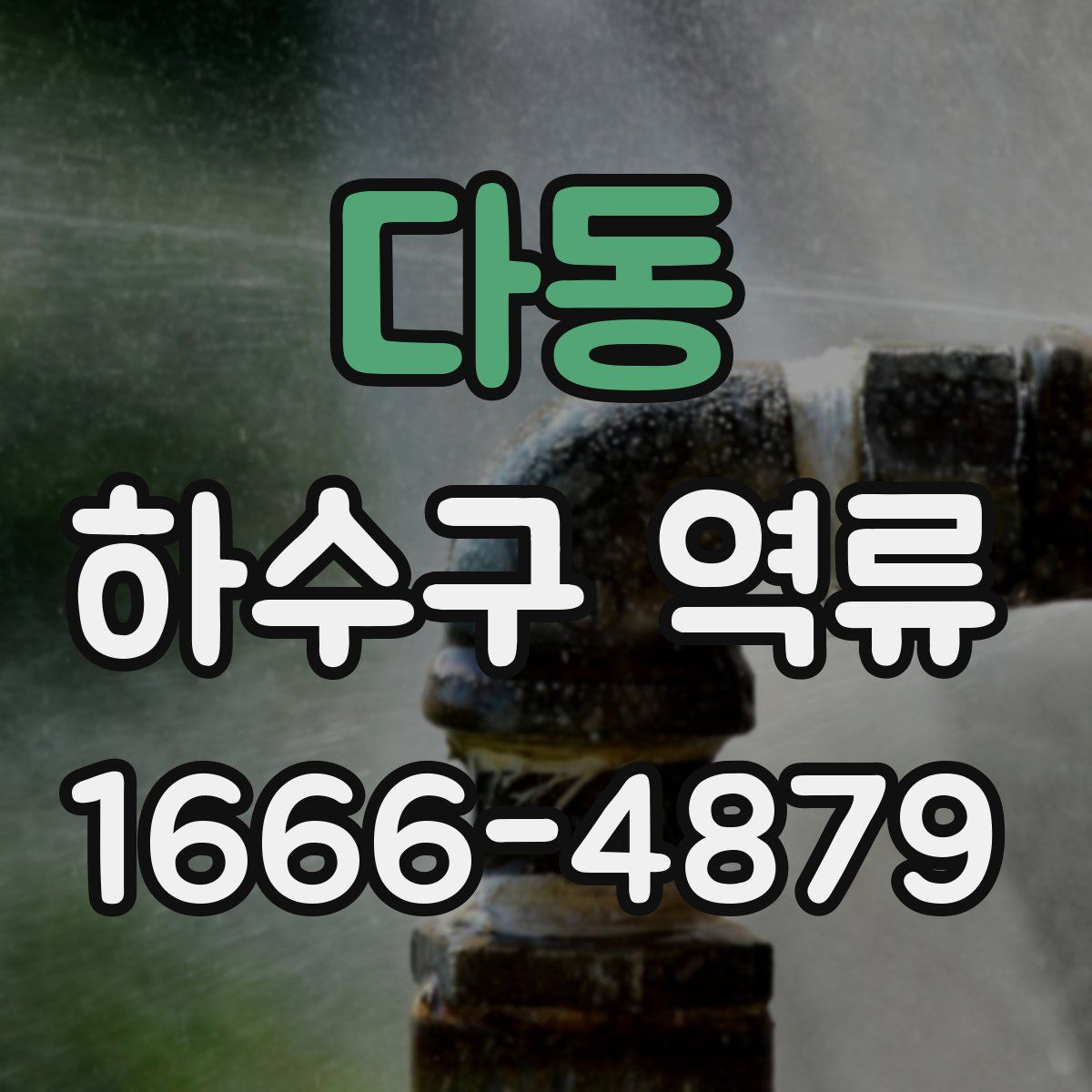 다동 하수구 역류