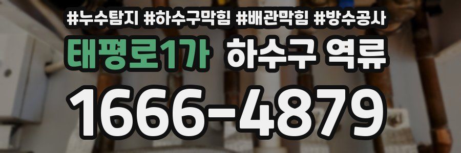 태평로1가 하수구 역류