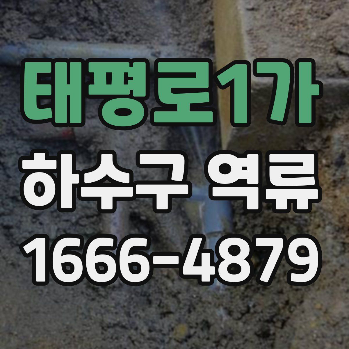 태평로1가 하수구 역류