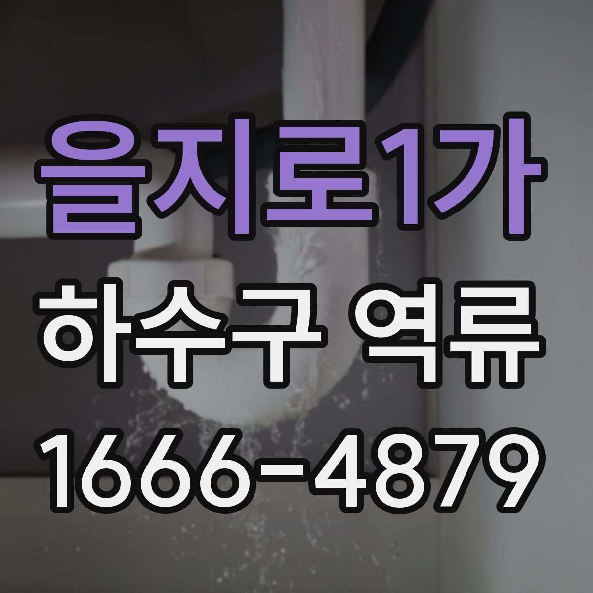 을지로1가 하수구 역류
