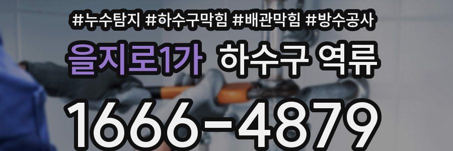 을지로1가 하수구 역류