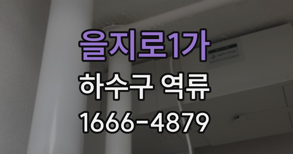 을지로1가 하수구 역류