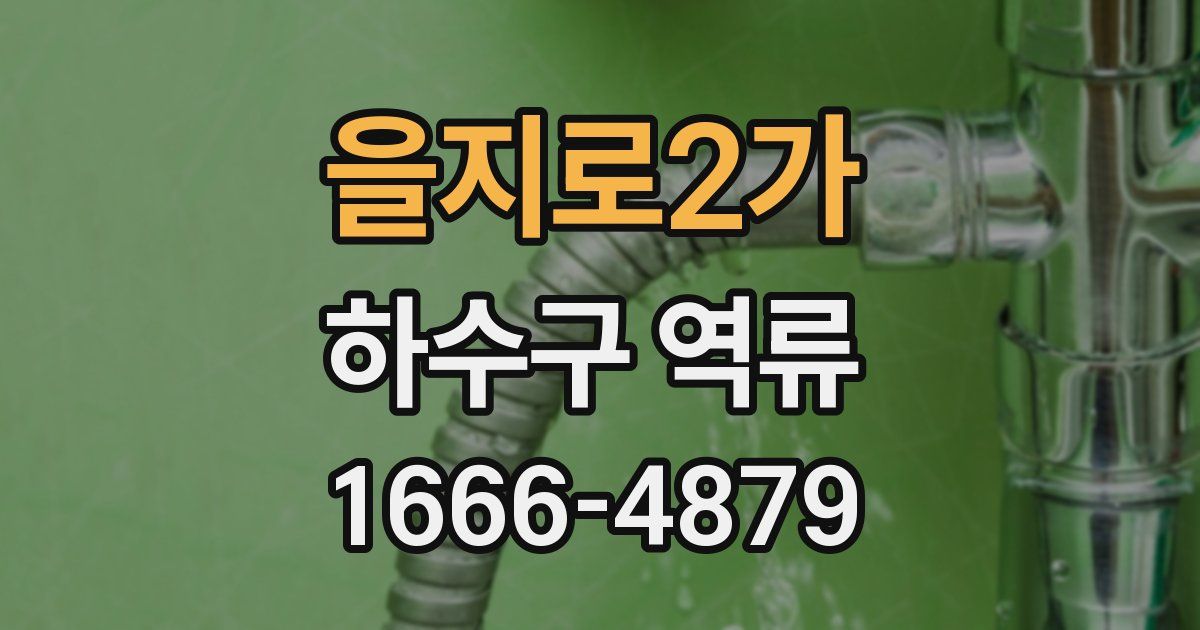 을지로2가 하수구 역류