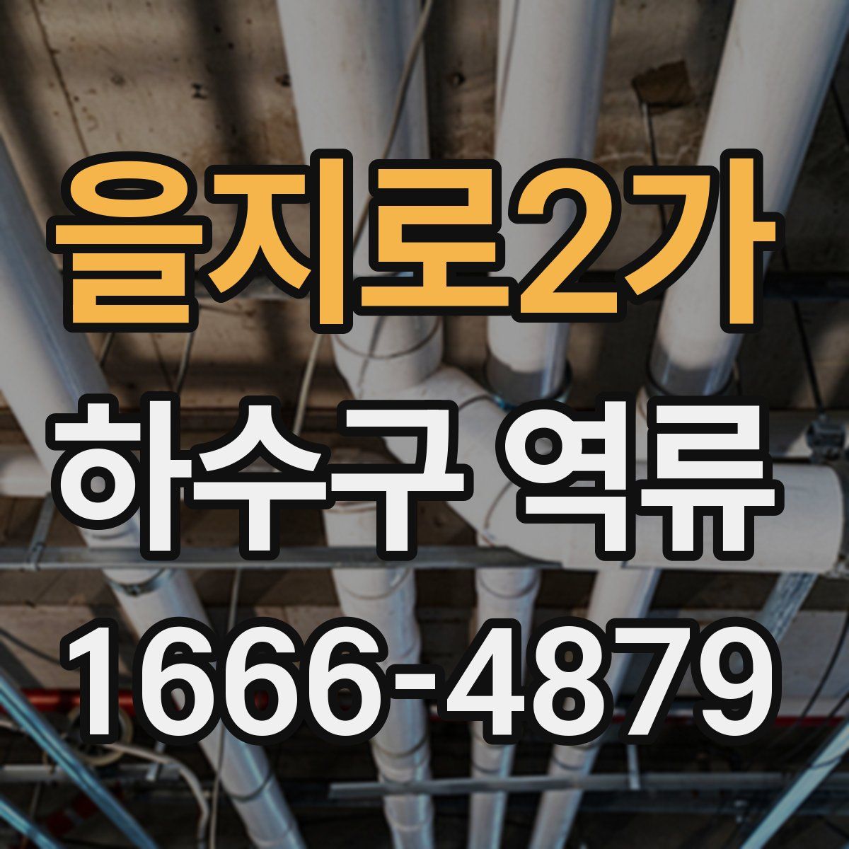 을지로2가 하수구 역류