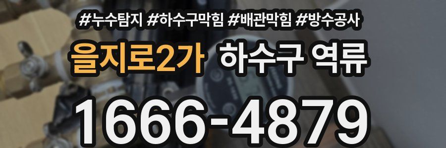 을지로2가 하수구 역류