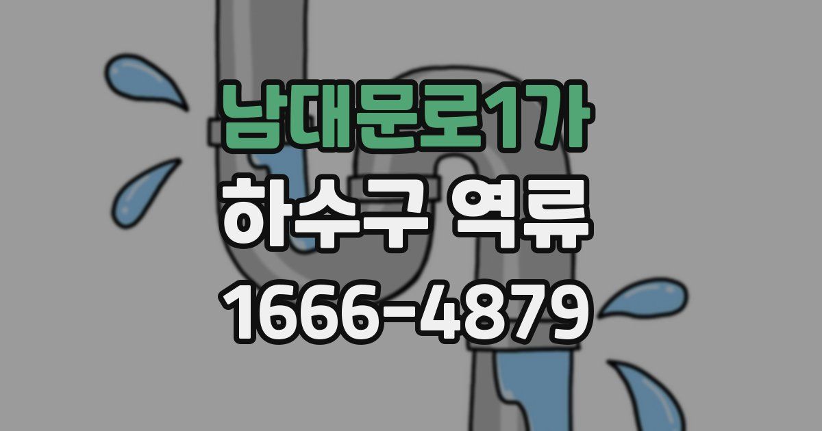 남대문로1가 하수구 역류