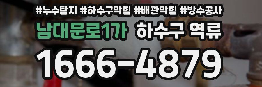 남대문로1가 하수구 역류