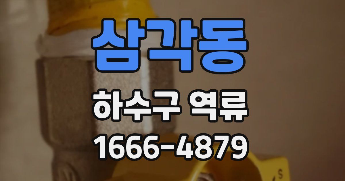 삼각동 하수구 역류