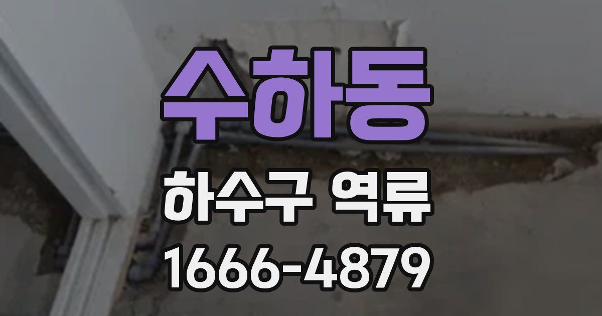 수하동 하수구 역류