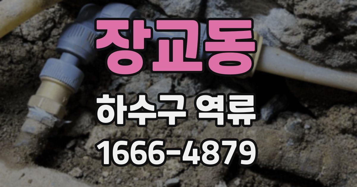 장교동 하수구 역류