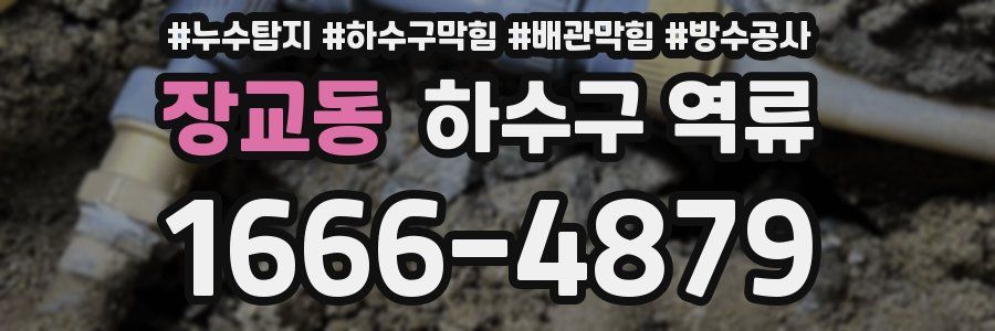장교동 하수구 역류