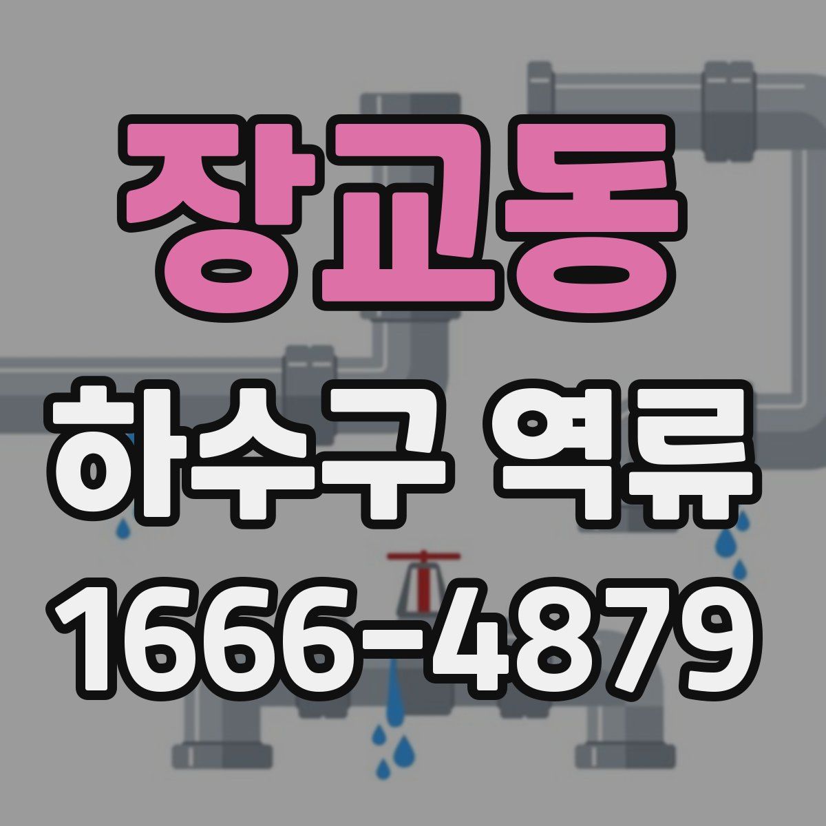 장교동 하수구 역류