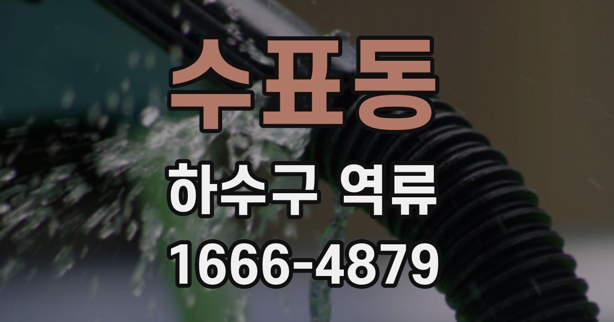 수표동 하수구 역류