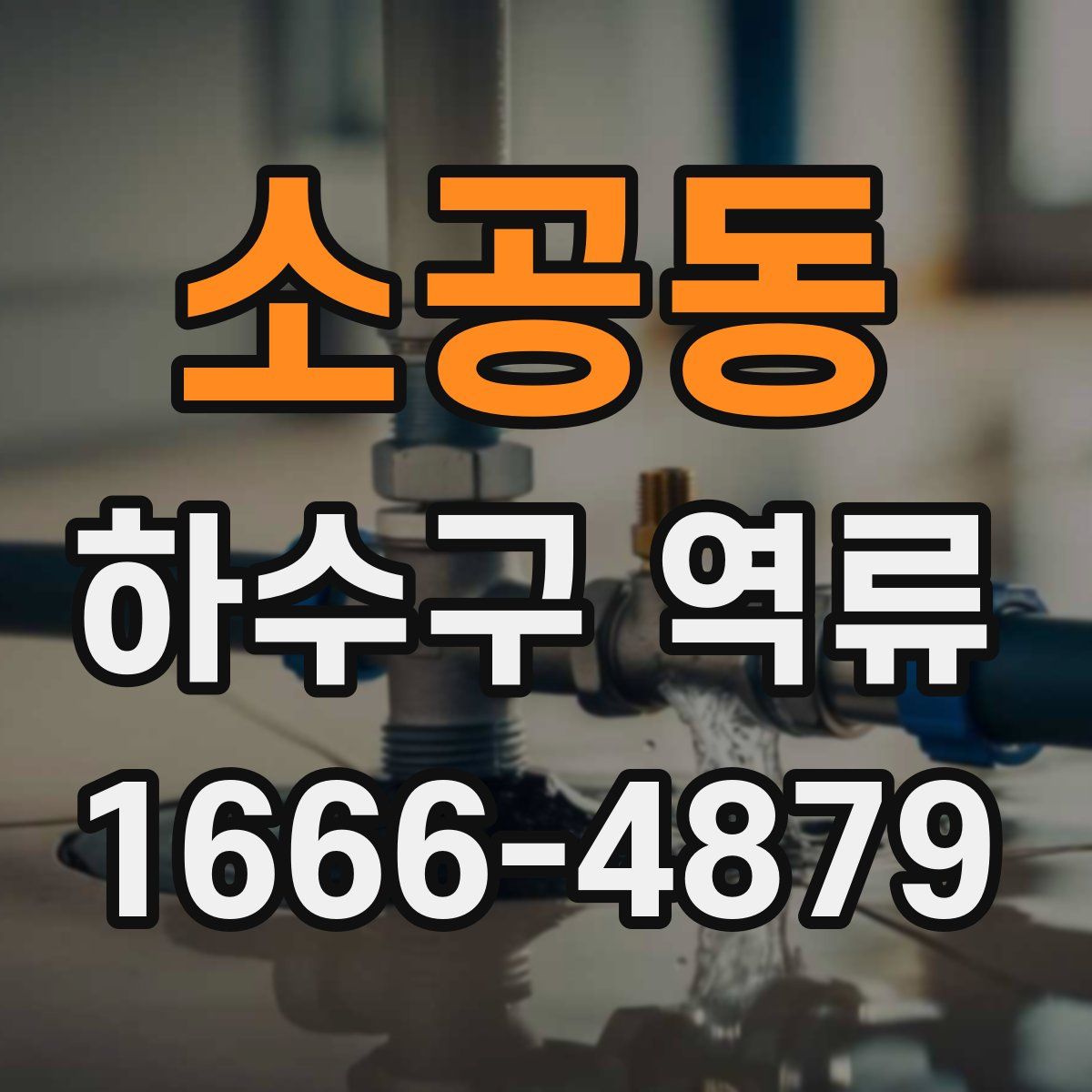 소공동 하수구 역류