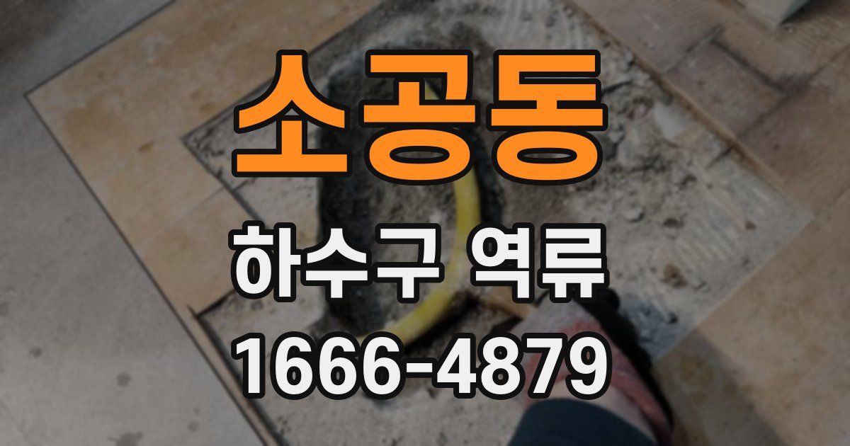 소공동 하수구 역류