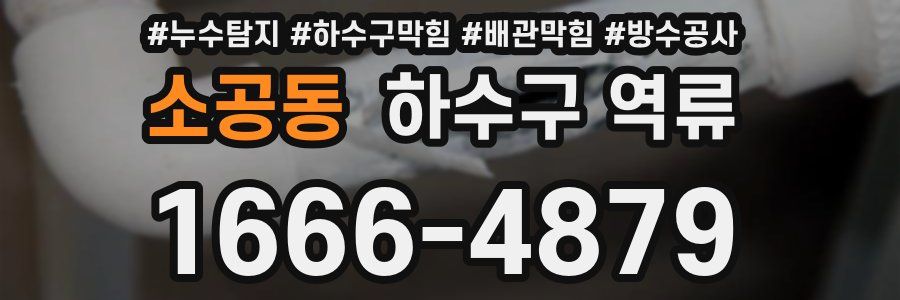 소공동 하수구 역류