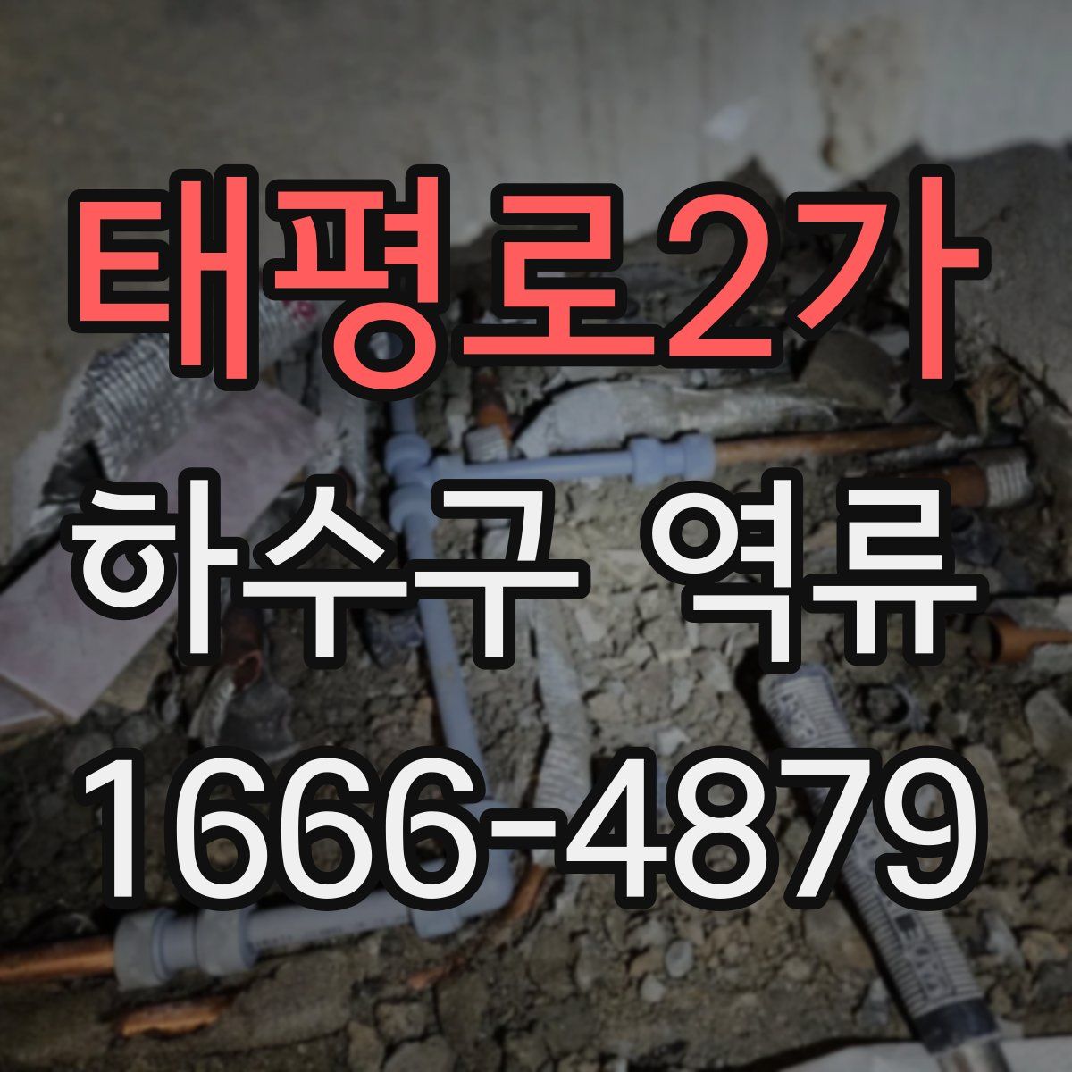 태평로2가 하수구 역류