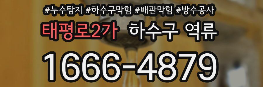 태평로2가 하수구 역류