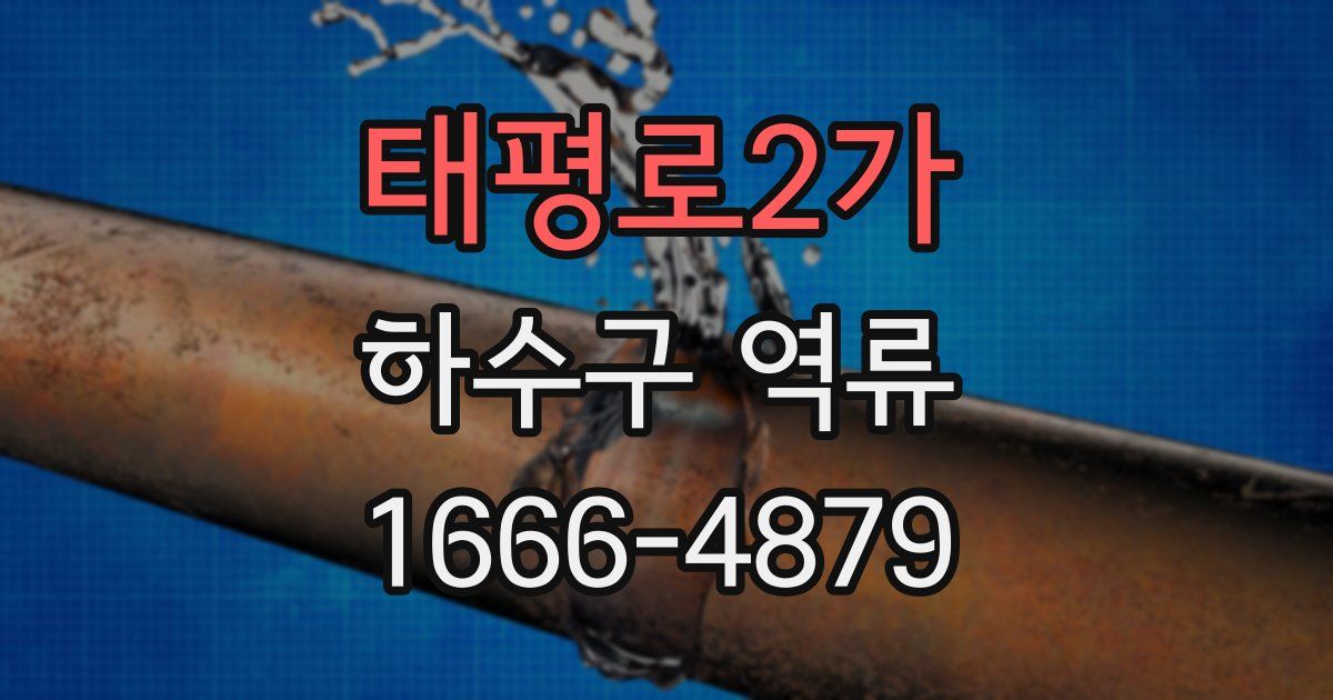 태평로2가 하수구 역류