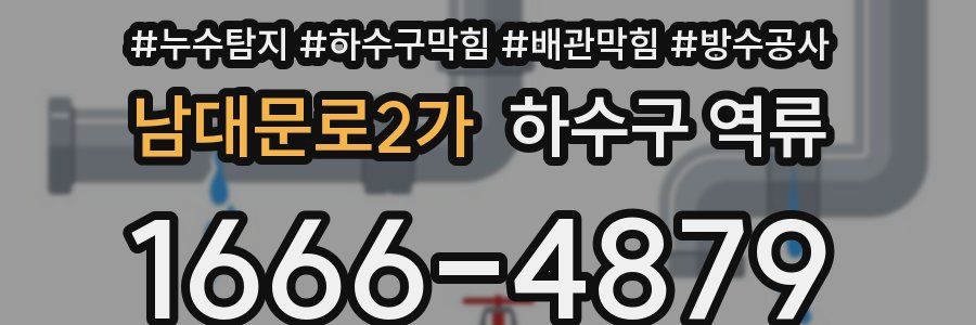 남대문로2가 하수구 역류