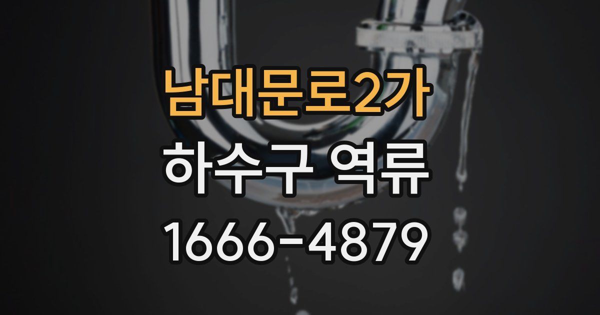 남대문로2가 하수구 역류