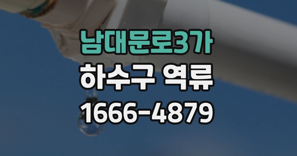 남대문로3가 하수구 역류
