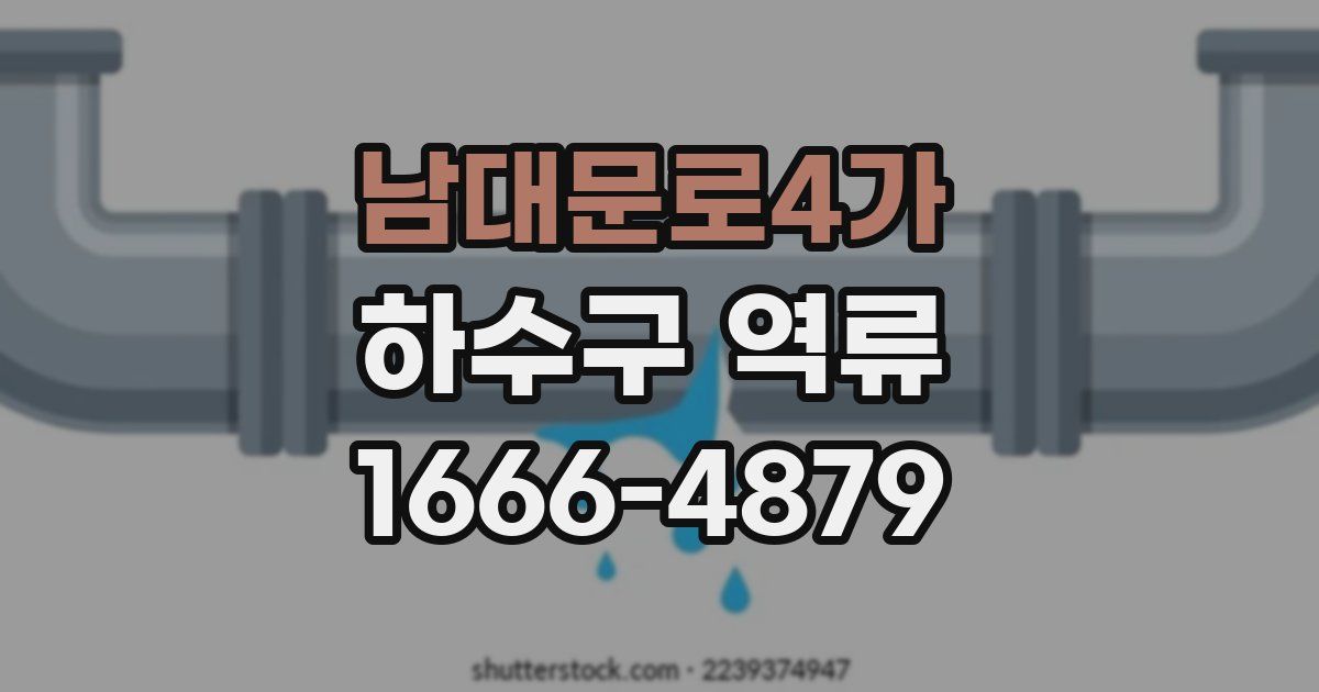 남대문로4가 하수구 역류
