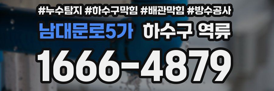 남대문로5가 하수구 역류
