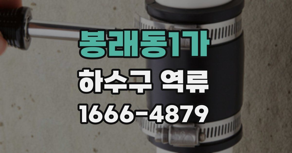 봉래동1가 하수구 역류