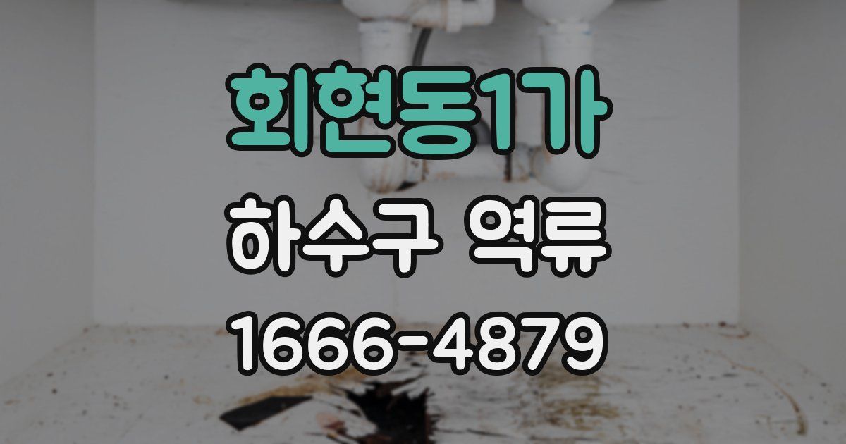 회현동1가 하수구 역류