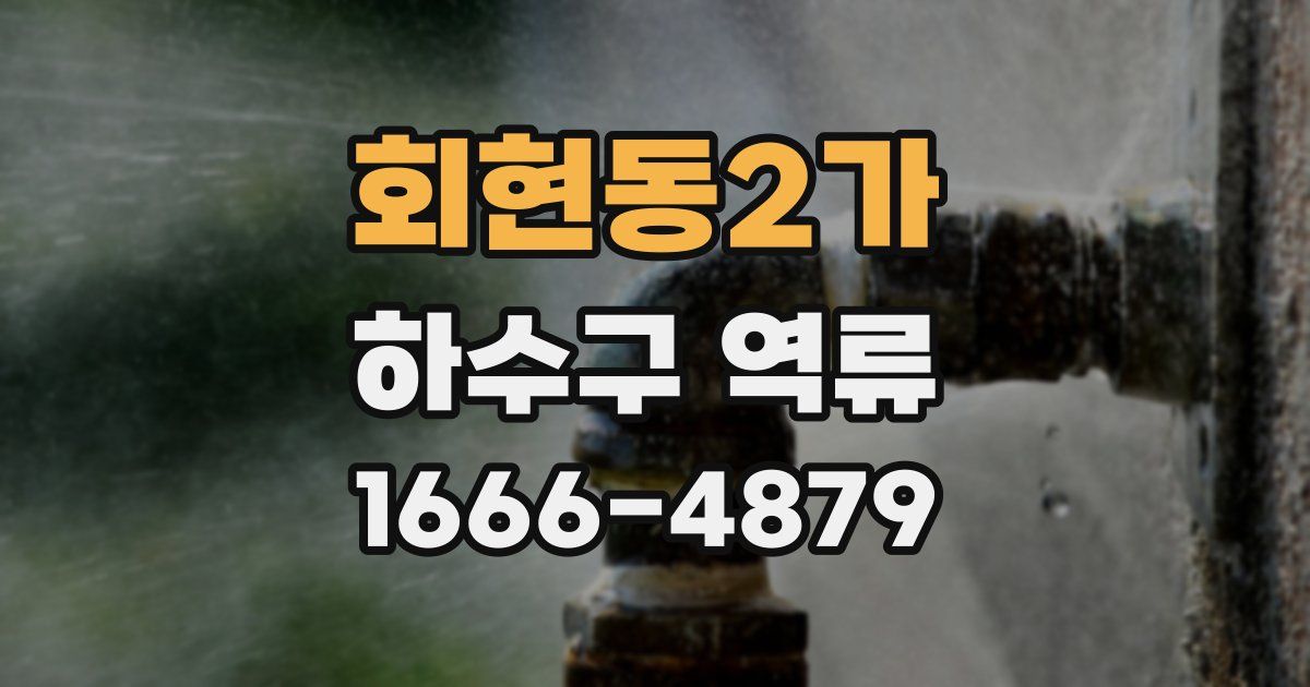 회현동2가 하수구 역류