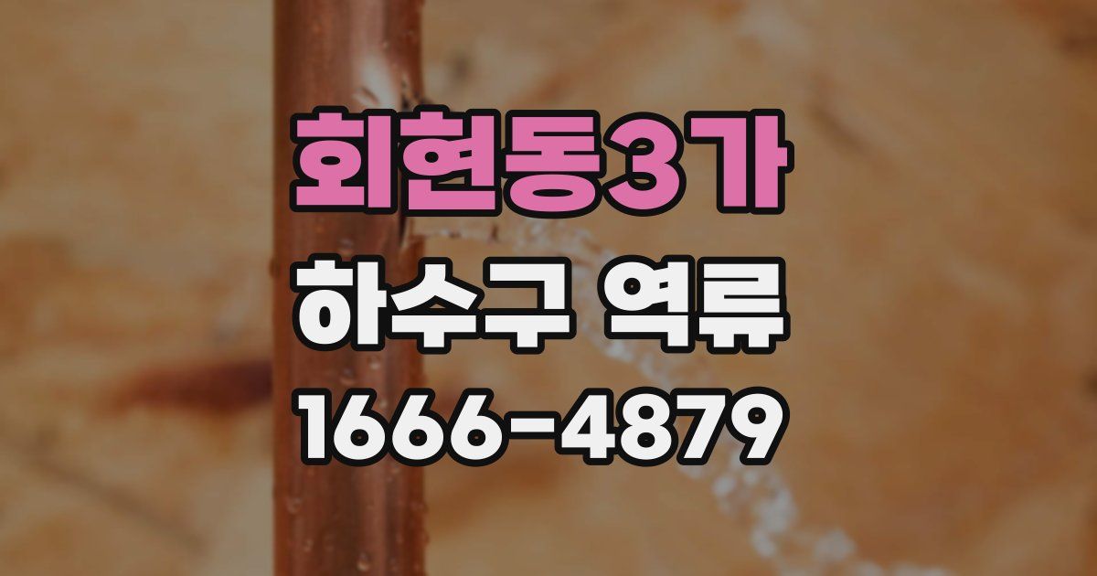 회현동3가 하수구 역류